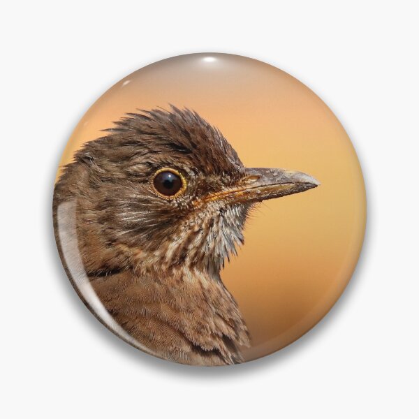 Item preview, Ruffled feathers designed and sold by GreyFeatherPhot.