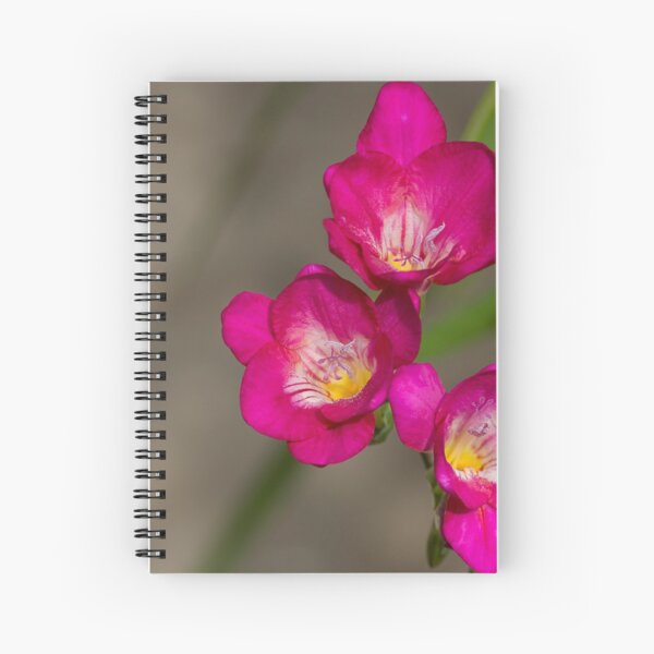 Fragrant Freesias Spiral Notebook