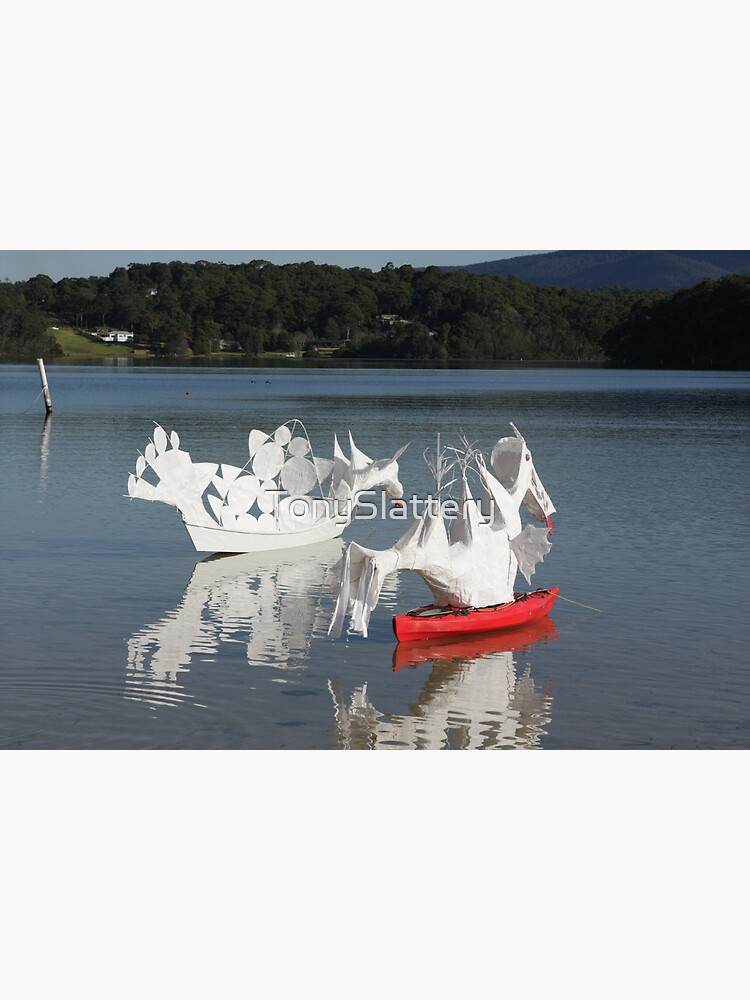 Narooma Oyster Festival by TonySlattery