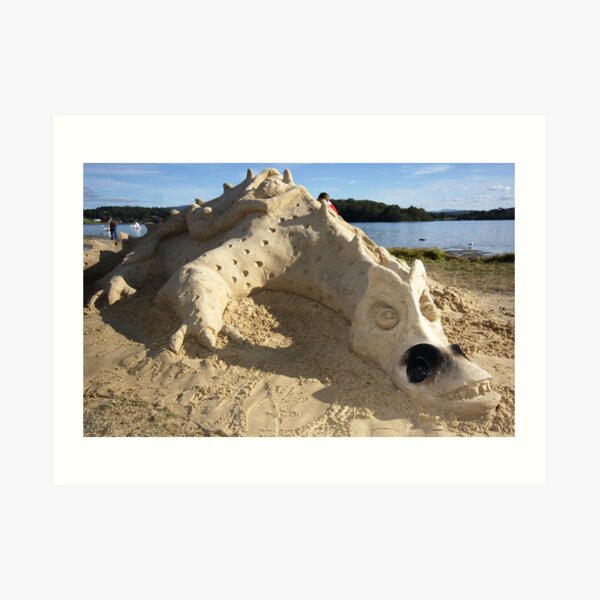 Narooma Oyster Festival Art Print