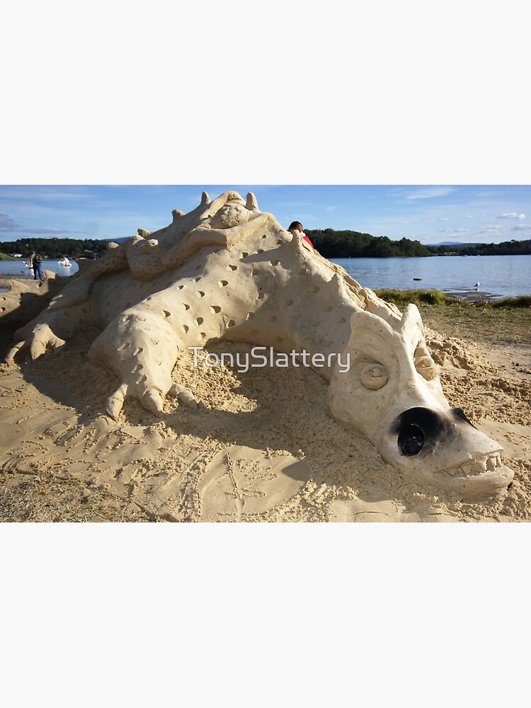 Narooma Oyster Festival by TonySlattery