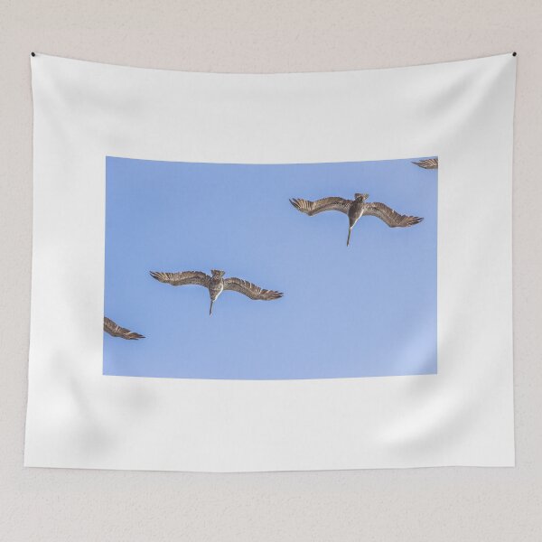 Item preview, Brown Pelicans Flying Overhead designed and sold by Ian Christopher.