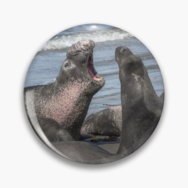 Item preview, Northern Elephant Seals designed and sold by Ian Christopher.