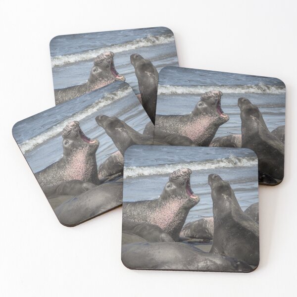 Item preview, Northern Elephant Seals designed and sold by Ian Christopher.
