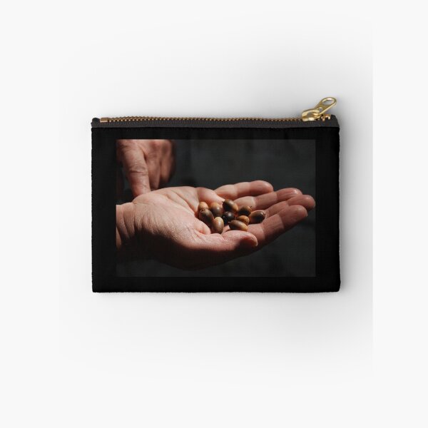 Item preview, Acorns designed and sold by Deborah Singer.