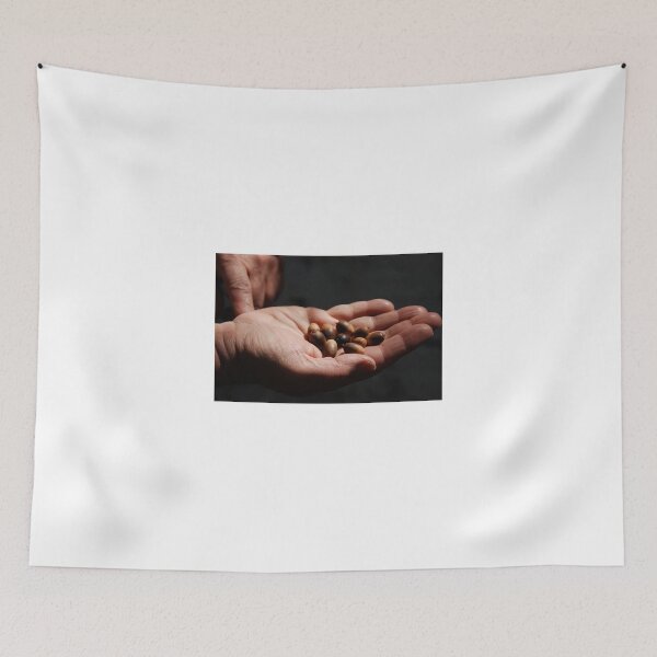 Item preview, Acorns designed and sold by Deborah Singer.