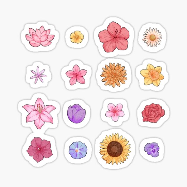 Flor Colorida única Pegatinas PNG ,dibujos Etiqueta De La Flor, Sticker  Set, Conjunto De Pegatinas De Flores PNG Imagen para Descarga Gratuita