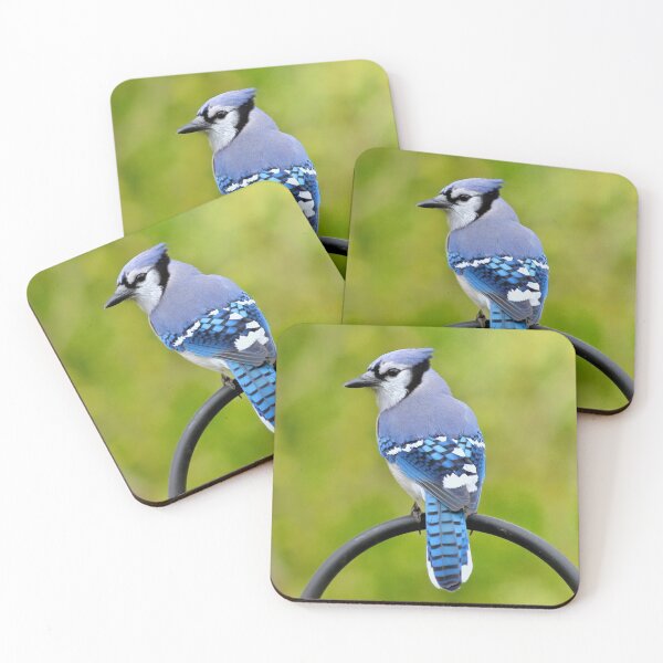 Item preview, Back Yard Visitor  designed and sold by Lanis Rossi.