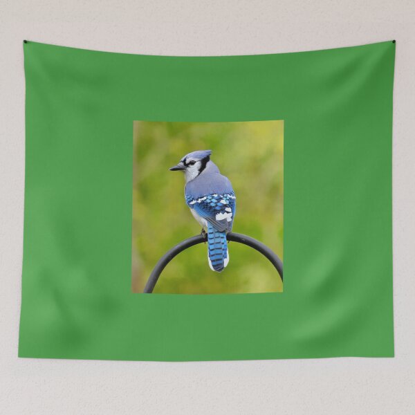 Item preview, Back Yard Visitor  designed and sold by Lanis Rossi.
