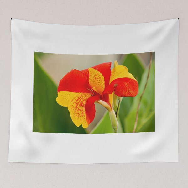 Item preview, cli Daffodil designed and sold by pcfyi.