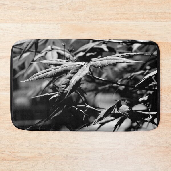 Item preview, Japanese maple leaves 3 designed and sold by chrispricephoto.