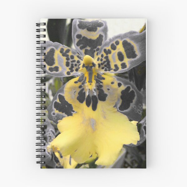 Item preview, A Bee's-eye View designed and sold by circa24.