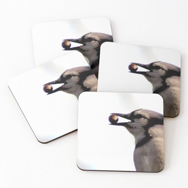 Item preview, Bluejay stashing acorns  designed and sold by mwfoster.