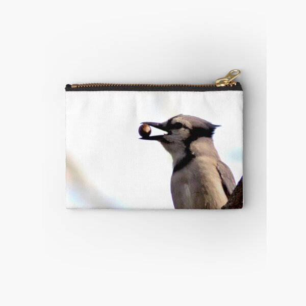 Item preview, Bluejay stashing acorns  designed and sold by mwfoster.