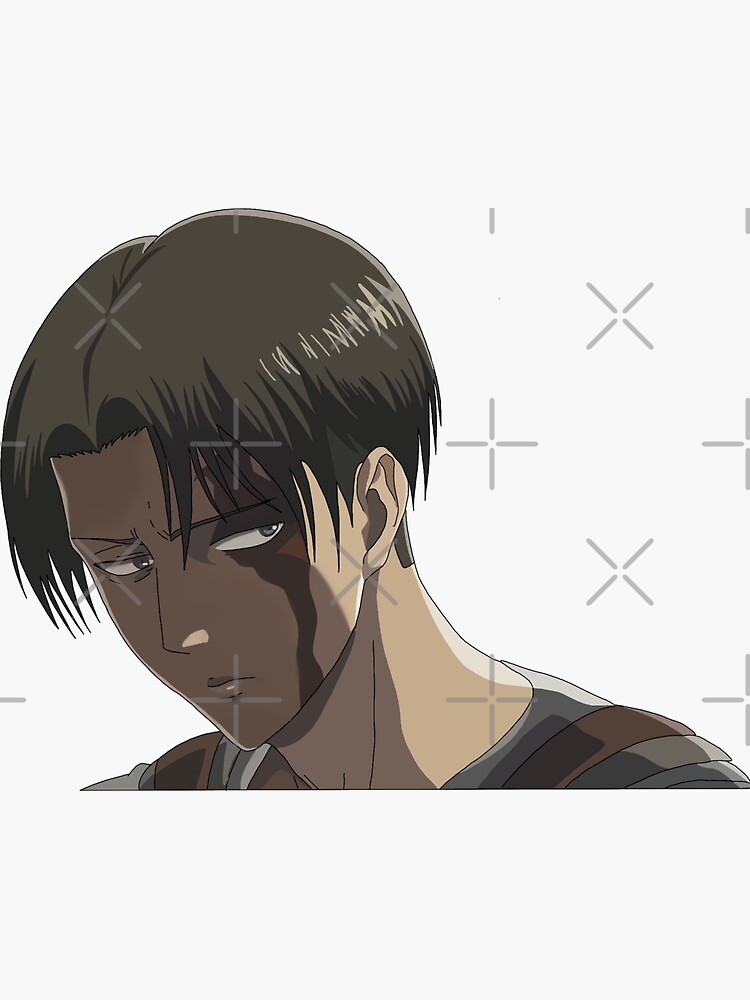 Levi by itskisaa
