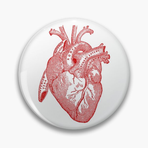 Item preview, Human Anatomy Heart designed and sold by Pixelchicken.