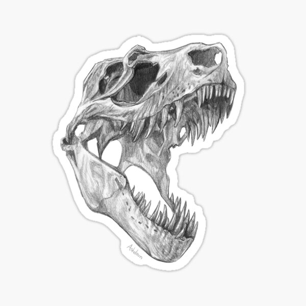 T-rex skull Sticker
