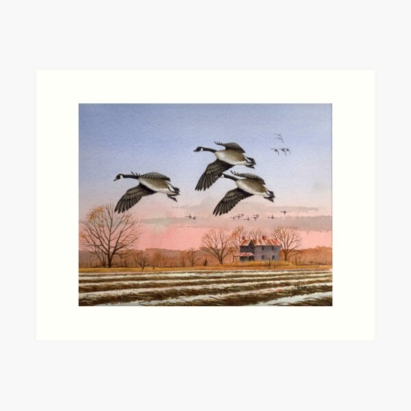 Chow Time For Canadas Art Print
