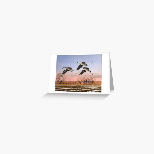 Chow Time For Canadas Greeting Card