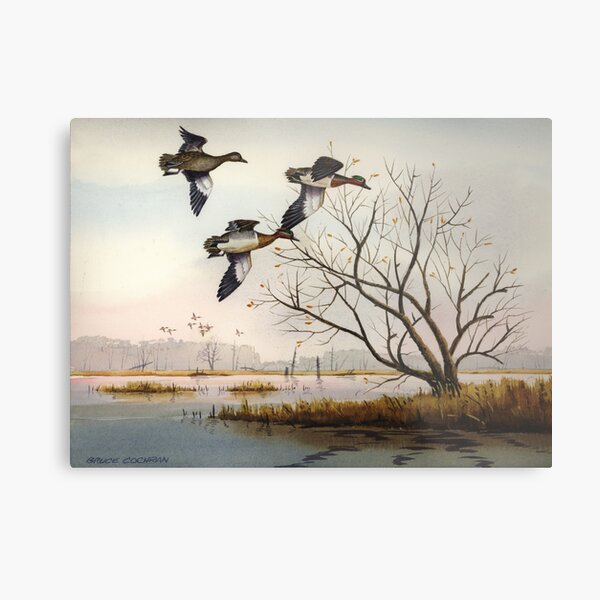 Greenwings Over The Marais des Cygnes Metal Print