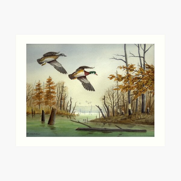 Paired Up: Wood Ducks Art Print