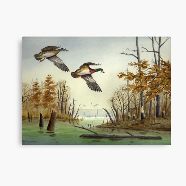 Paired Up: Wood Ducks Canvas Print