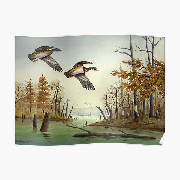Paired Up: Wood Ducks Poster
