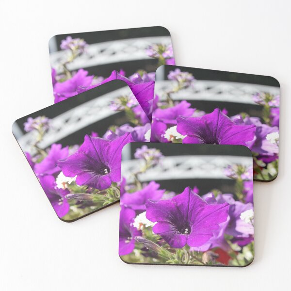 Item preview, Somesville Bloom designed and sold by Autumn Seas Photography.