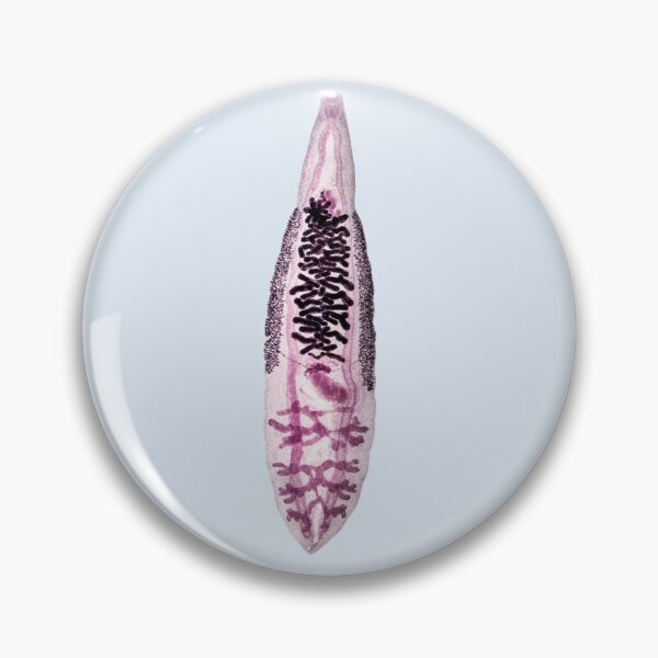 Artikelvorschau, Clonorchis sinensis entworfen und verkauft von circa24.