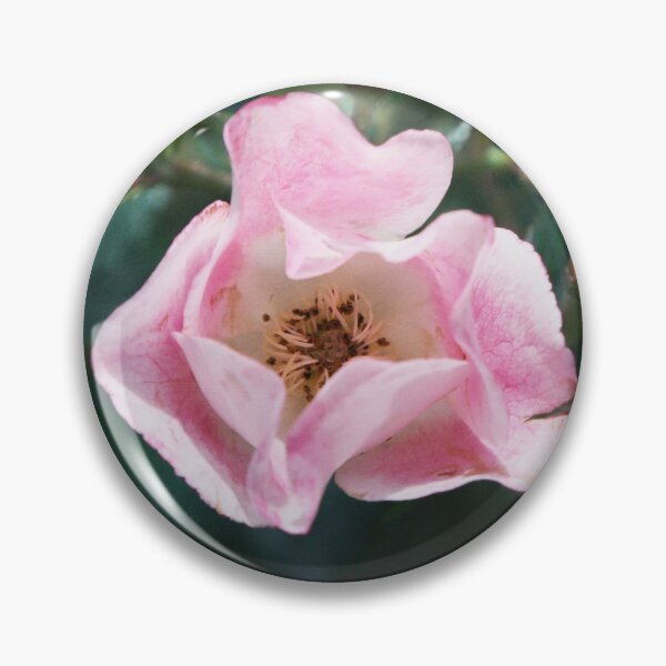 Item preview, Pink Roses on Dark Teal Blue Green designed and sold by Brooke T Ryan Photographic Art.