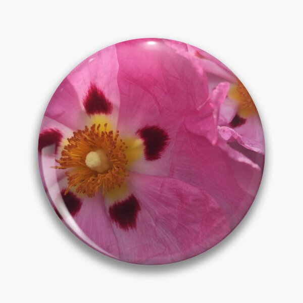 Item preview, Two Pink primrose designed and sold by Mia Russell.