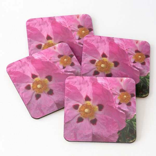 Item preview, Two Pink primrose designed and sold by Mia Russell.