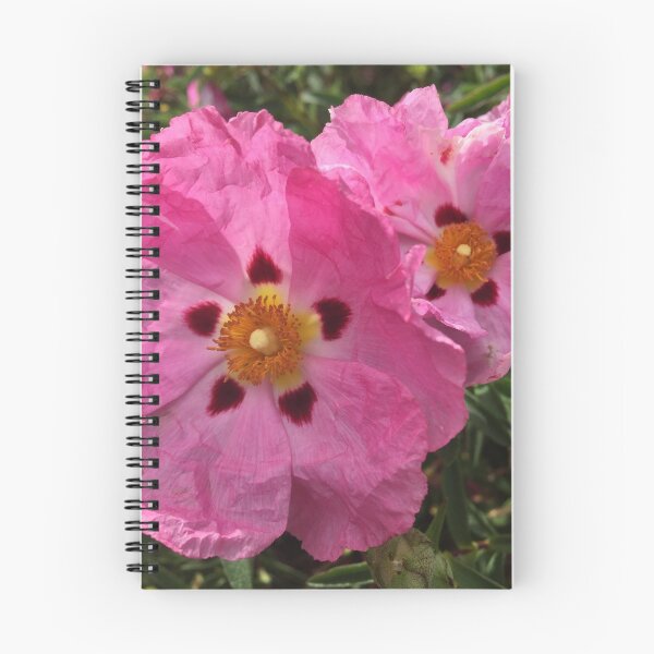 Item preview, Two Pink primrose designed and sold by Mia Russell.