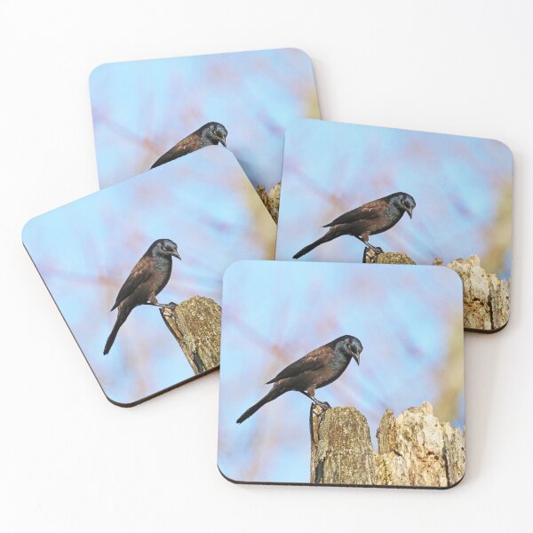 Item preview, Grackle Contemplation designed and sold by Deb Oppermann.
