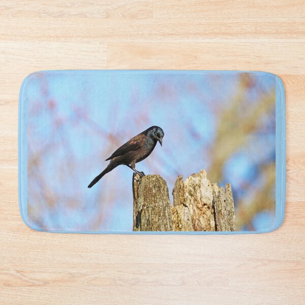 Item preview, Grackle Contemplation designed and sold by Deb Oppermann.