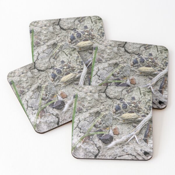 Item preview, Young and Camouflaged (Grasshopper) designed and sold by circa24.