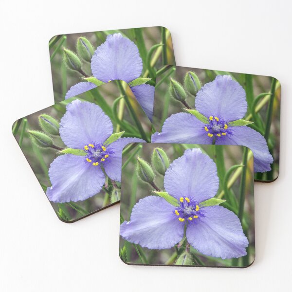 Item preview, Spiderwort (Tradescantia) designed and sold by circa24.