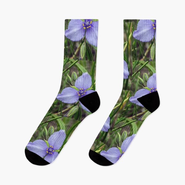 Item preview, Spiderwort (Tradescantia) designed and sold by circa24.
