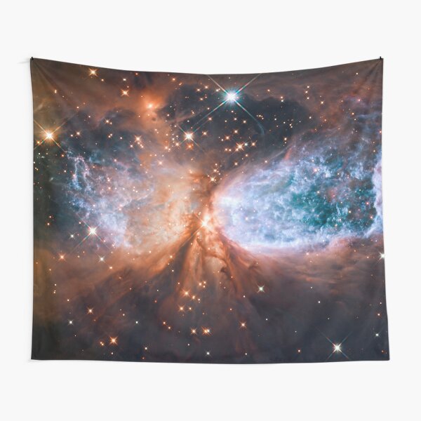 S106 STAR CANVASLARGE WALL ARTspace nasa hubble nebula stars galaxy