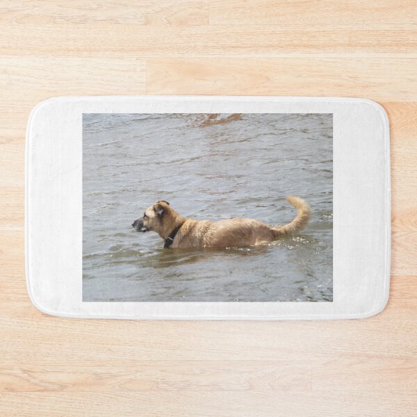 Artikelvorschau, Hund, der im Platte River, Denver, Colorado schwimmt entworfen und verkauft von lenspiro.