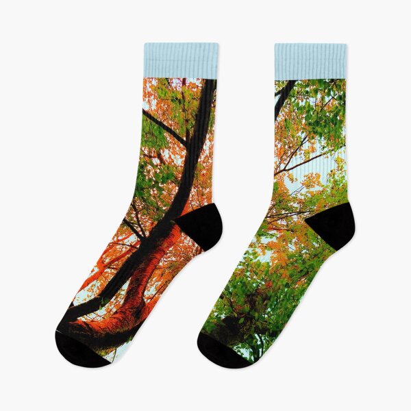 Item preview, Autumnal Colours 1 designed and sold by Olympia Ellinas.
