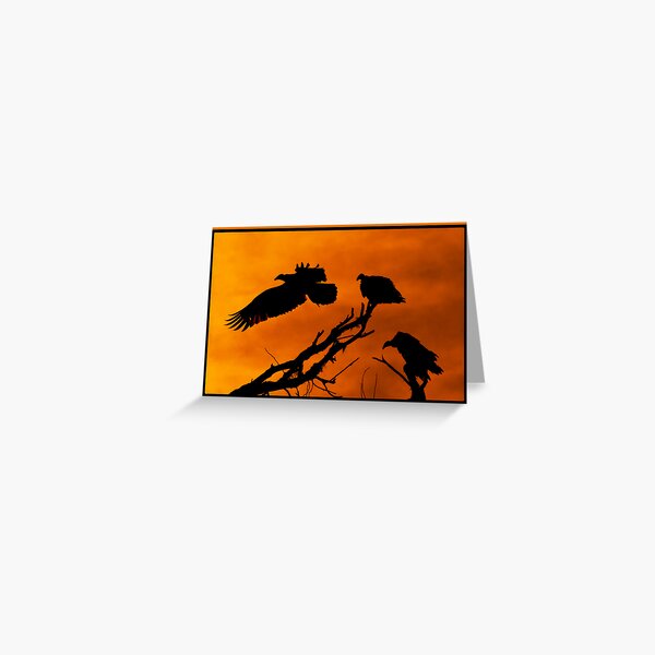 Vultures Roosting @ Sundown Greeting Card