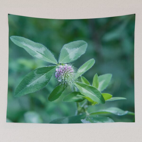 Item preview, Special wild grass designed and sold by RezieMart.