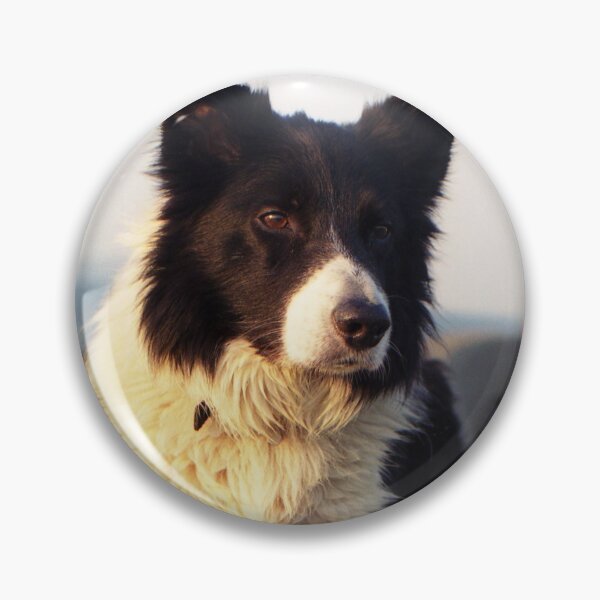 Item preview, Forever in my heart. designed and sold by Michael Haslam.