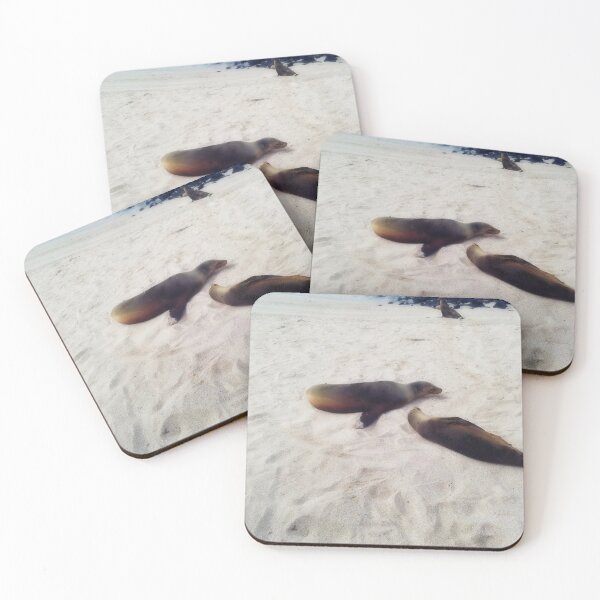 Item preview, Sealions Sunbathing  designed and sold by SeekSerendipity.