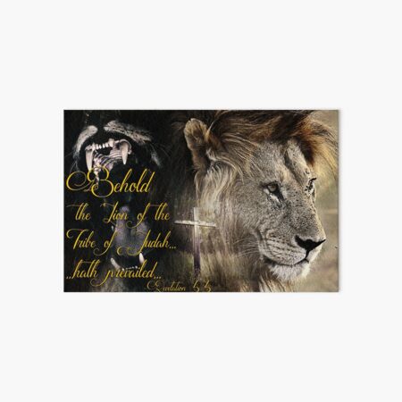 Behold, The Lion Of The Tribe Of Judah Art Board Print