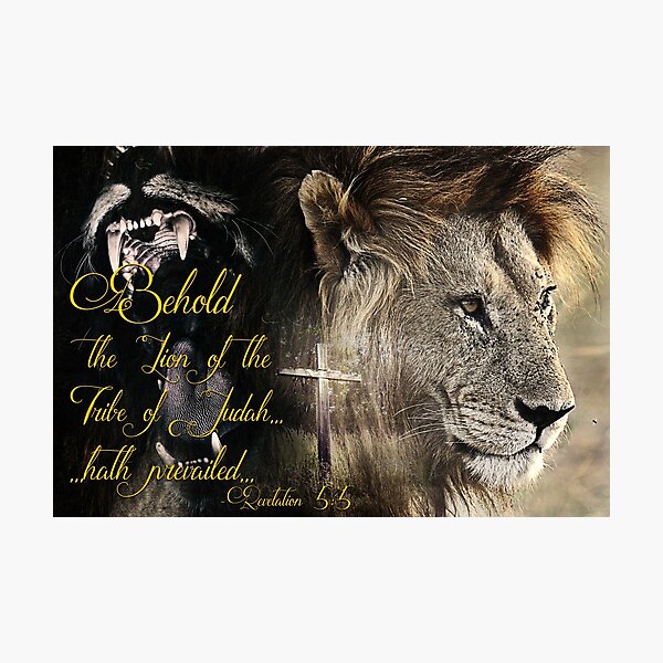Behold, The Lion Of The Tribe Of Judah Photographic Print