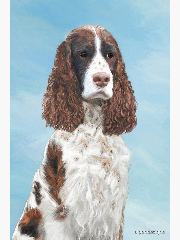 English springer best sale spaniel art