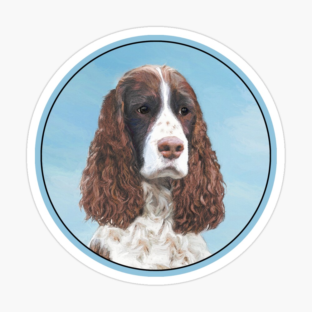 springer spaniel painting