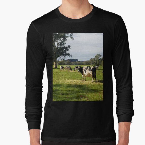 Holstein Friesians - Dairy Cows - photography by Avril Thomas Long Sleeve T-Shirt